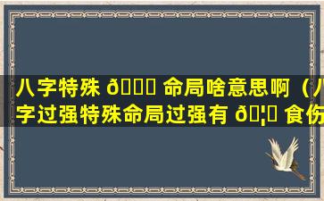 八字特殊 🍁 命局啥意思啊（八字过强特殊命局过强有 🦄 食伤）